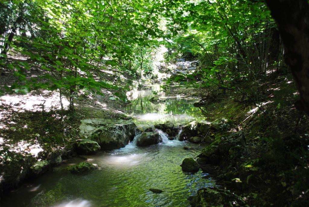 Domaine D'Angouire Hotel Moustiers-Sainte-Marie Ngoại thất bức ảnh