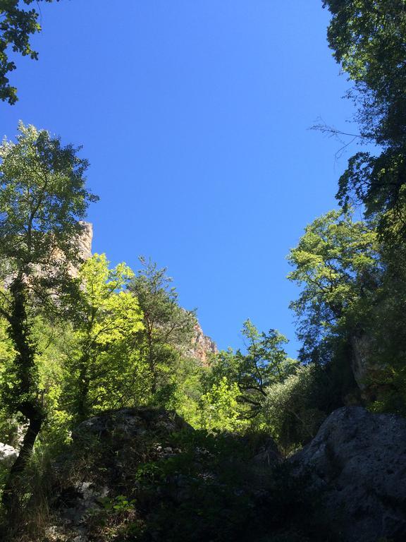 Domaine D'Angouire Hotel Moustiers-Sainte-Marie Ngoại thất bức ảnh
